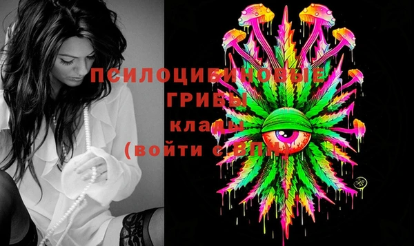 шишки Алзамай