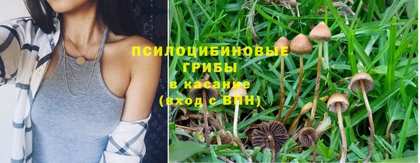 ешки Алексин