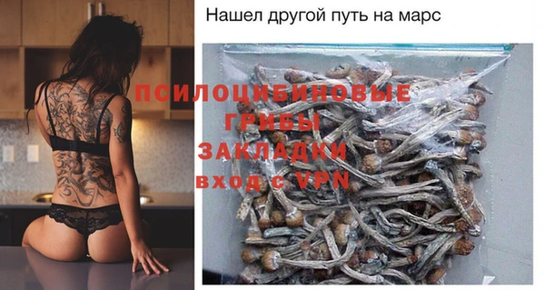 шишки Алзамай